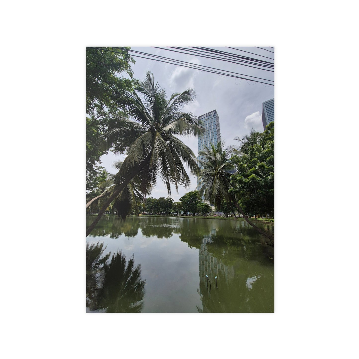 Lumpini Park, eine grüne Oase in Bangkok