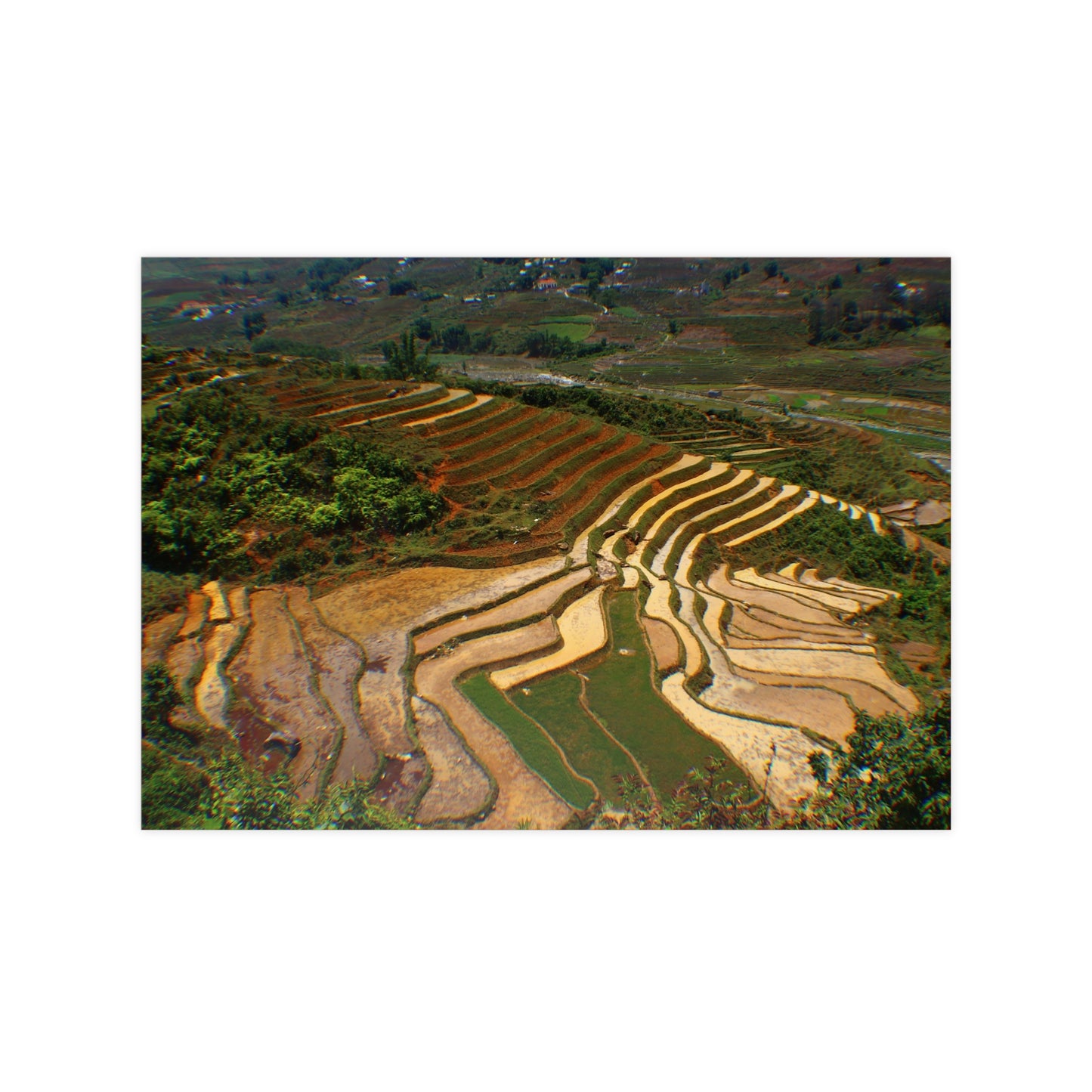 Reisterassen von Sapa, Vietnam